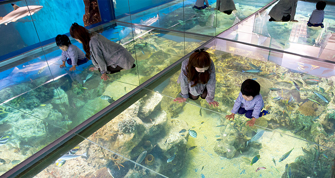 越前松島水族館