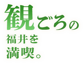 観ごろの福井を満喫。