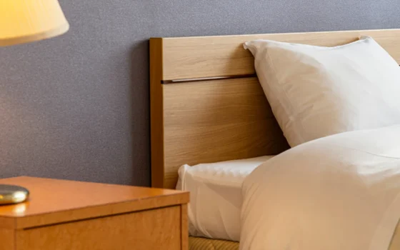 【禁煙】シングル（バス・トイレ付）