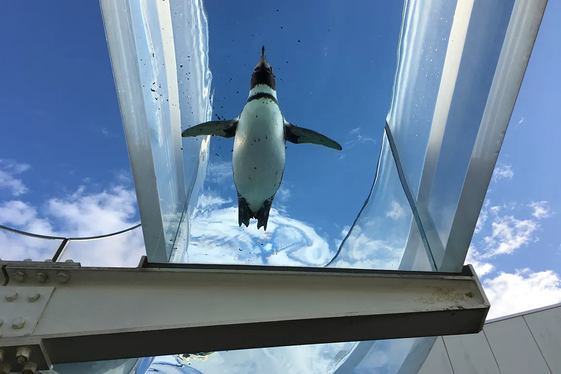 越前松島水族館