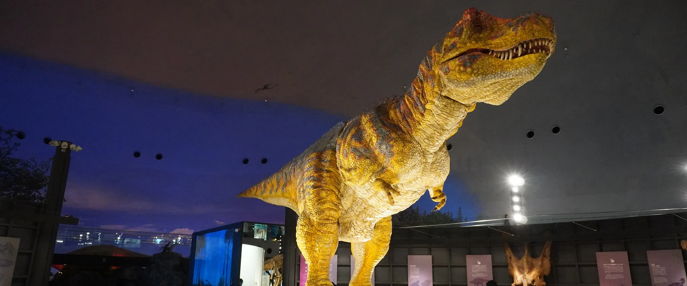 福井県立恐竜博物館