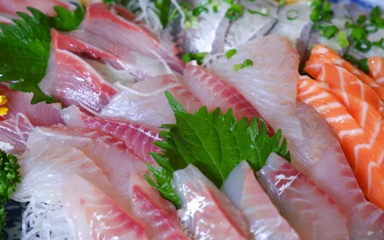 越前の新鮮な地魚